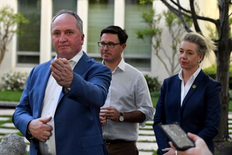 Nationals in disarray over emissions deal