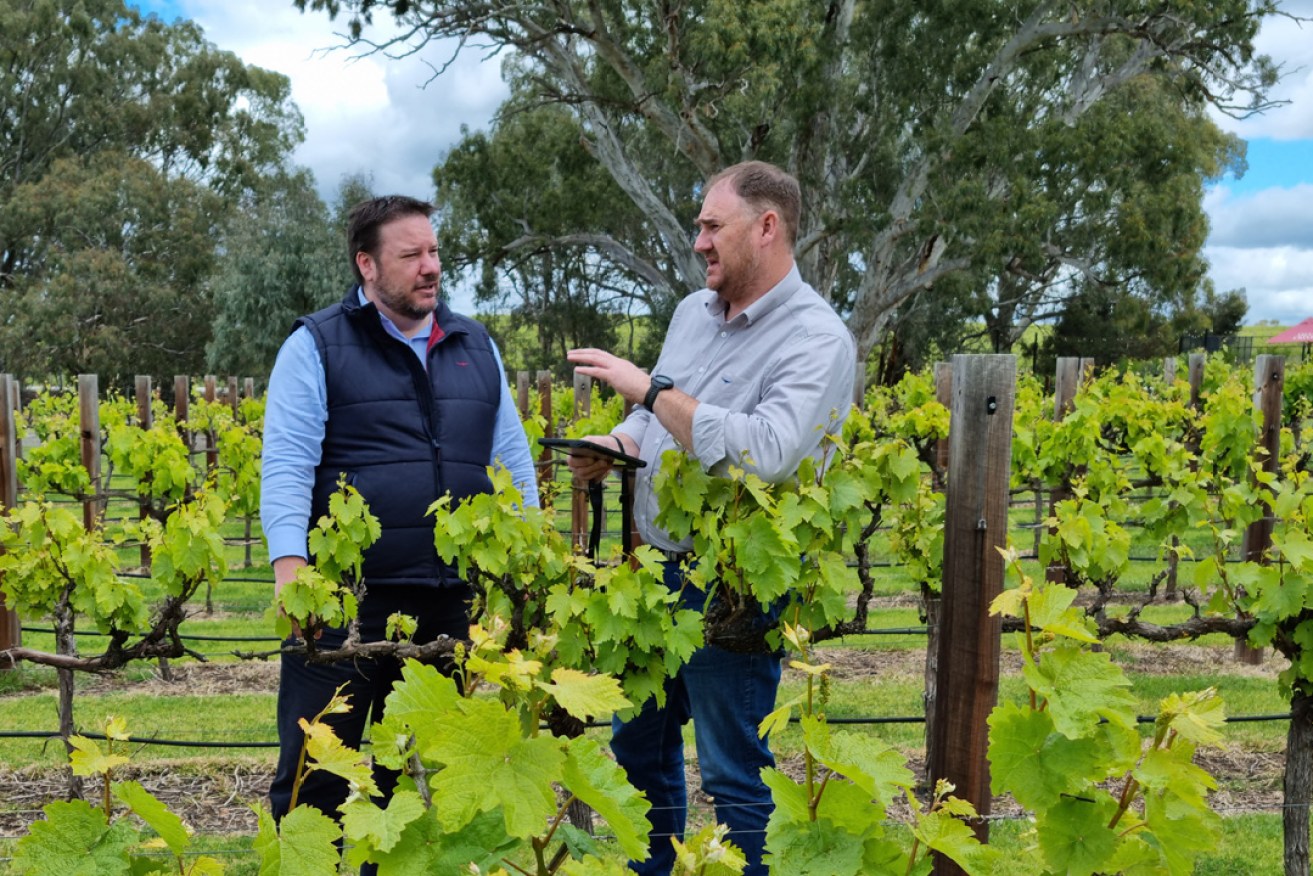 Deep Planet Market Development Consultant Matthew Moate (left) and Pernod Ricard Winemakers National Viticulturist Philip Deverell. 