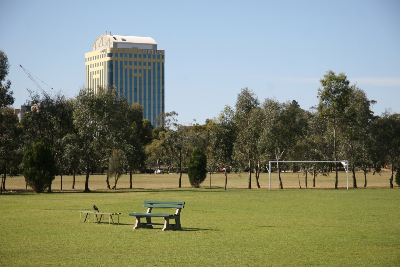 The state government hasn't revealed the precise location for a temporary hub for Aboriginal rough sleepers in the south park lands. Photo: Tony Lewis/InDaily 