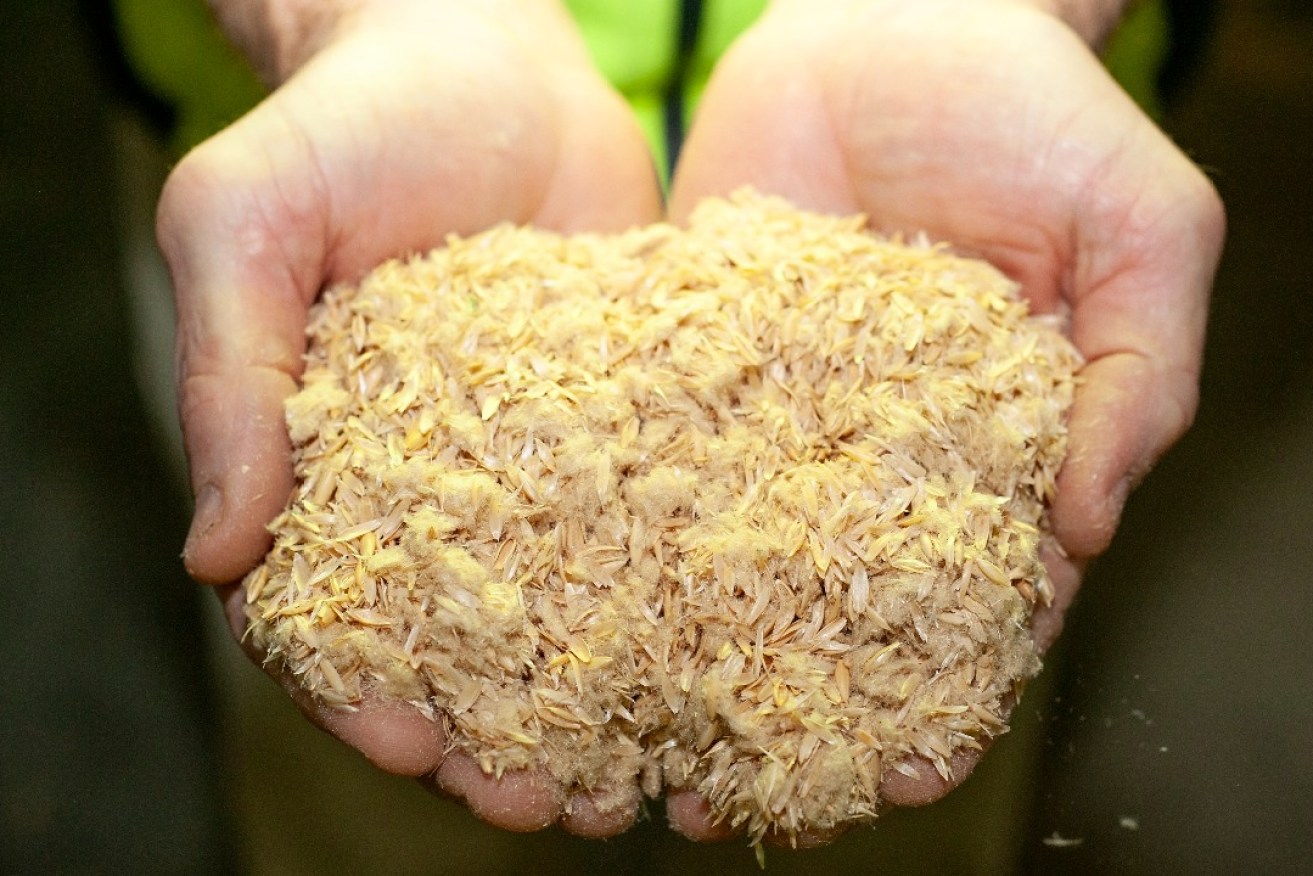 Blue Lake Milling has found a way to convert its oat husks into bioenergy. Photo: Supplied