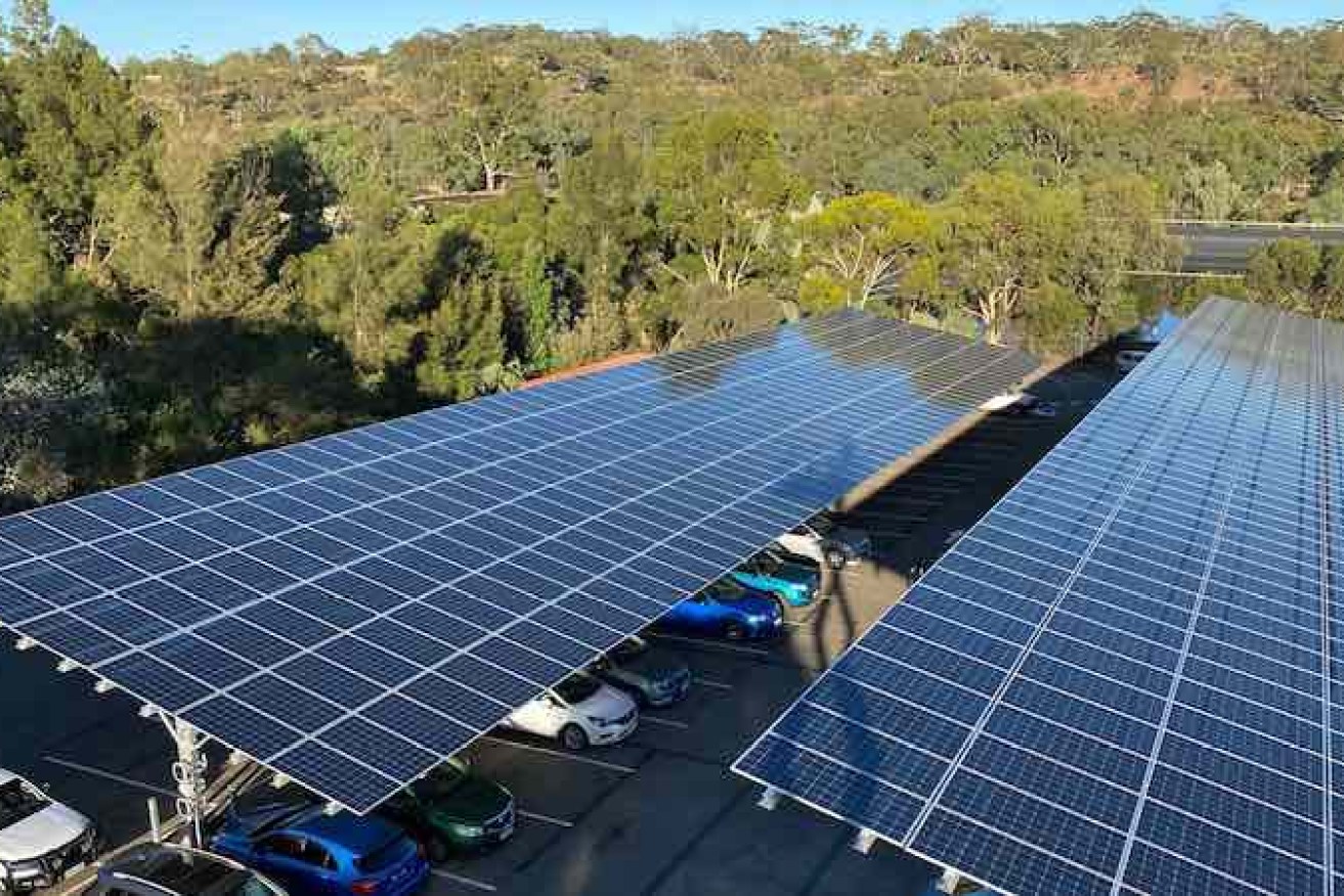 The solar panels on the car park at Pernod Ricard in the Barossa.