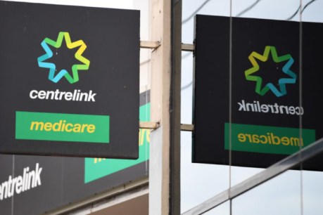 Centrelink’s 100-point plan for job seeker payments