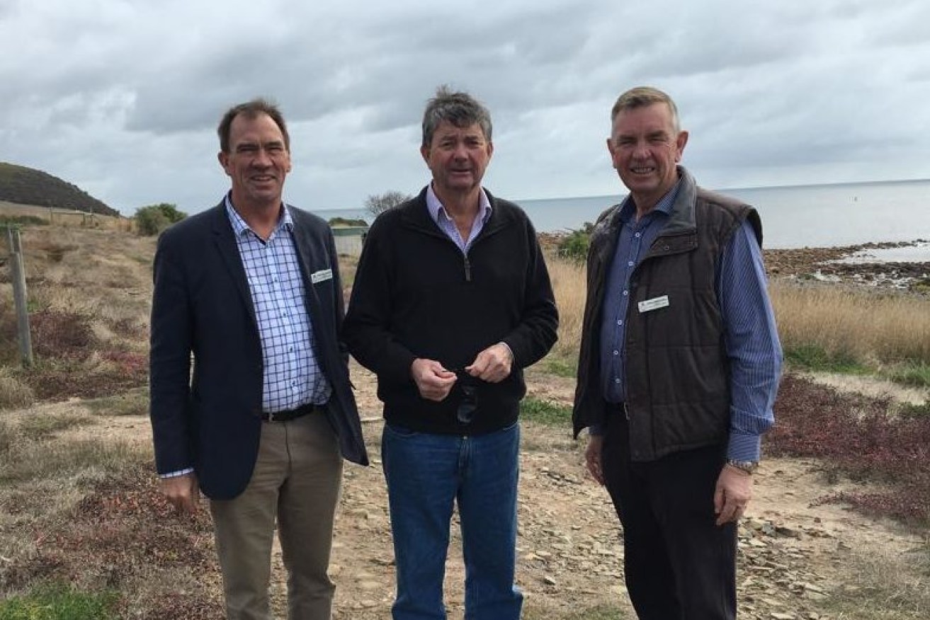 Pengilly (centre) at Smith Bay as an MP in 2017, with colleagues John Dawkins (right) and Peter Treloar, who is now a member of the committee he faced today. He posted in a comment on the original photo: "At the proposed Port site which is obscene to even be considered. I smell a great big rat."
