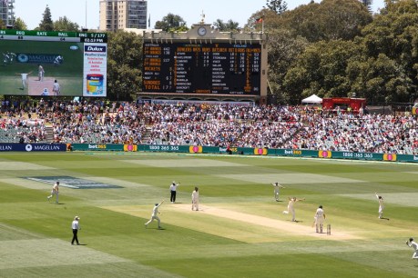 Mandatory vaccination for Adelaide Oval spectators