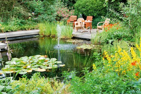 Get some pond life in your garden