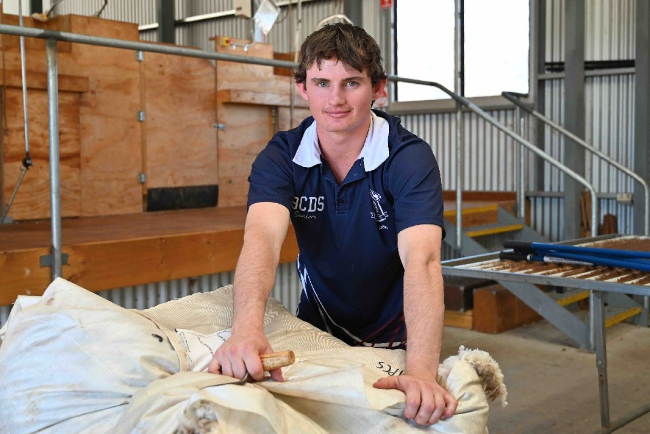 Year 12 student Jaxon Kumnick participates in the Booleroo Centre school’s sheep shearing and wool classing course. Photo: Belinda Willis