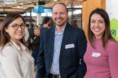 Tonsley Connections