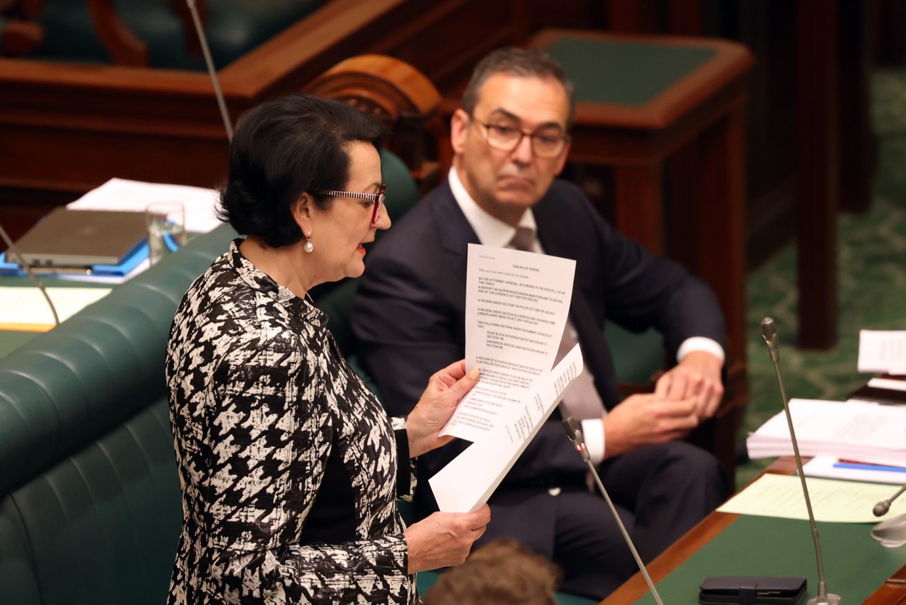 Vickie Chapman in parliament yesterday. Photo: Tony Lewis / InDaily