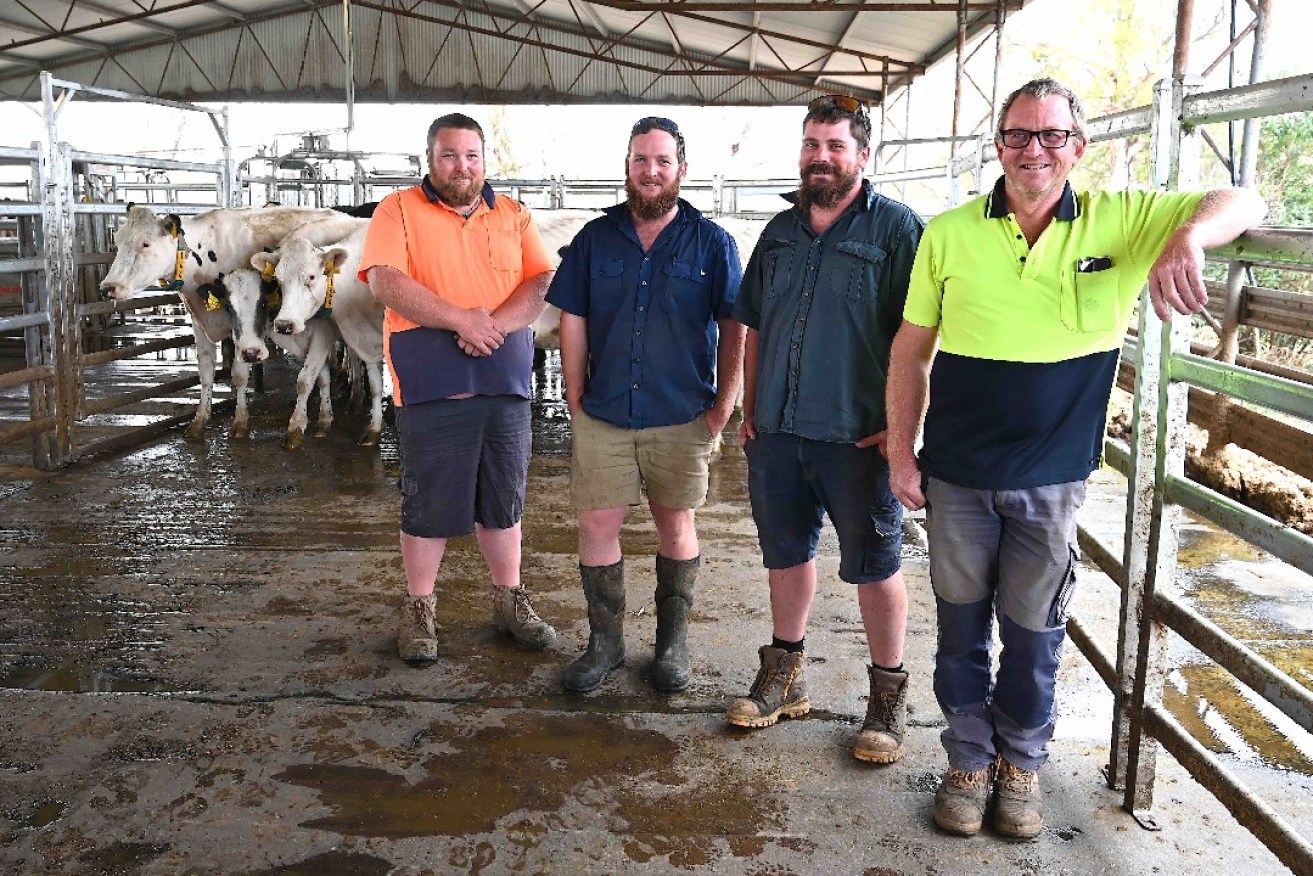 David Smart and his family were milking 440 Friesian cows in Mypolonga. Photo: Belinda Willis