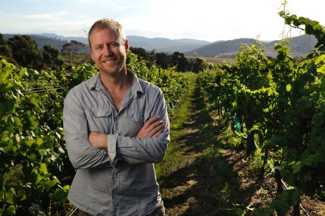 Shiraz and Cabernet make way for lesser known SA wines at prestigious awards