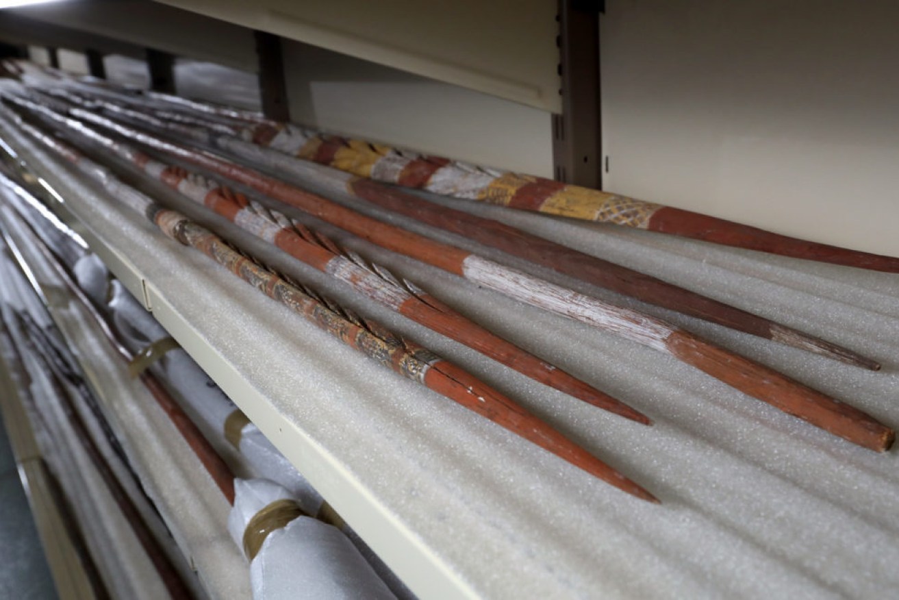 Aboriginal spears in storage at the current Netley site. Photo: Tony Lewis/InDaily
