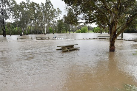 SA flood warning as big wet approaches