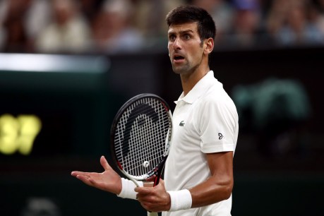 No vax, no visa for Novak as tennis star faces deportation