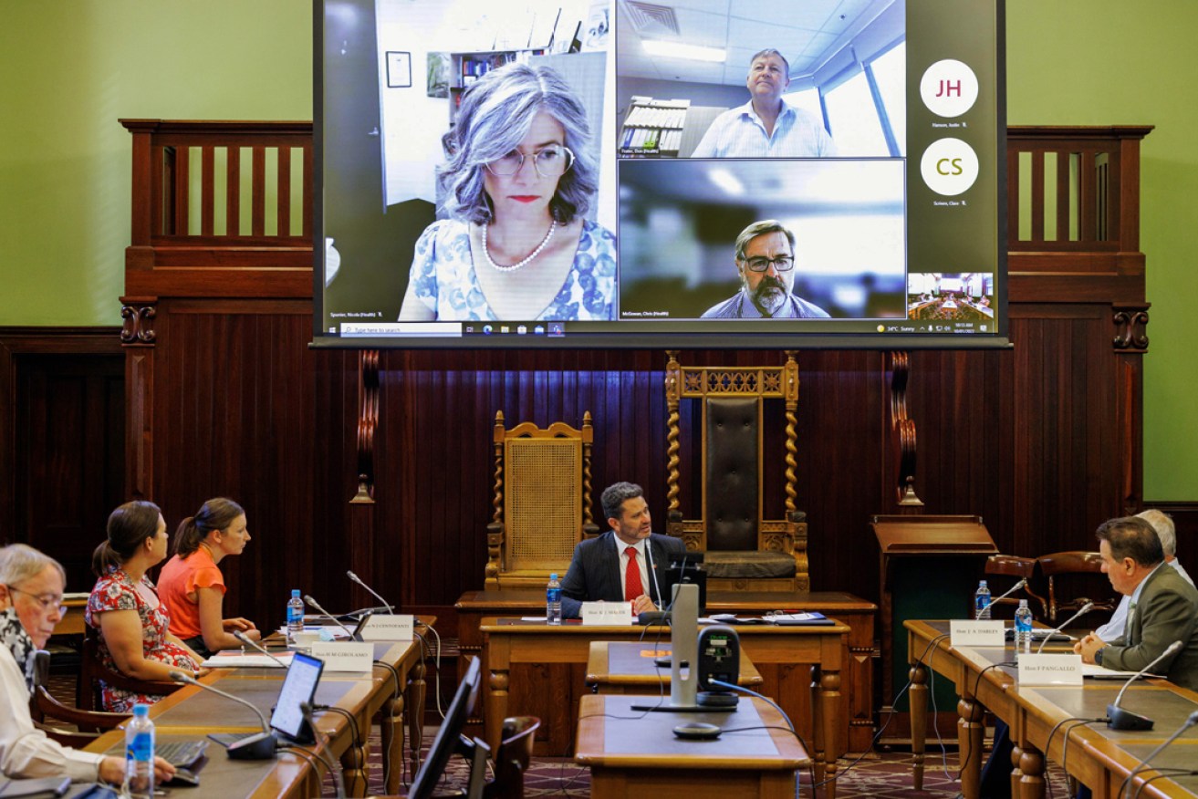 Professor Nicola Spurrier, Don Frater and Chris McGowan front this morning's Budget and Finance Committee hearing via video link. Picture: Tony Lewis/InDaily