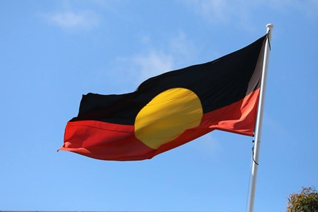 Indigenous voice leaders ‘tired of political games’