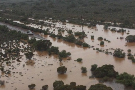 SA declares major emergency in response to big wet