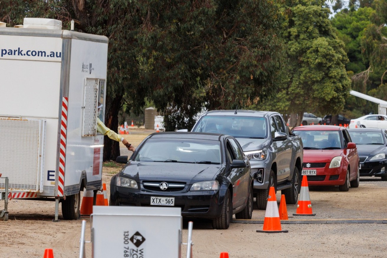 Cars queuing at the park lands RAT distribution site on Thursday morning. Photo: Tony Lewis/InDaily 