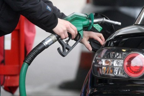 Petrol prices fuel hip pocket pain