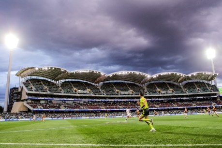 No call on lifting Adelaide Oval capacity as Labor kicks up about dancing ban