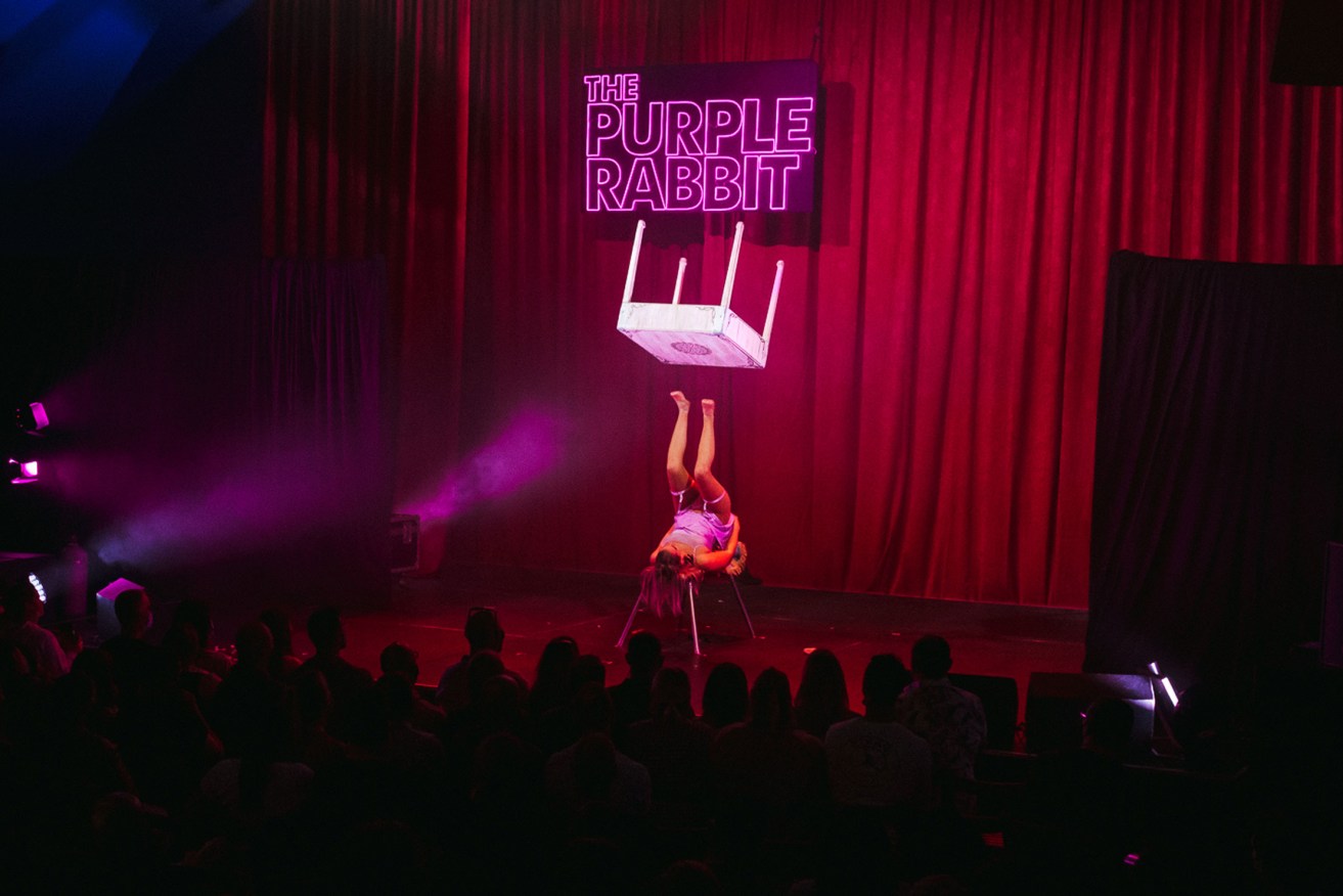 Magic and mischief: Strut and Fret's new Fringe show 'The Purple Rabbit'. Photo: Jacinta Oaten