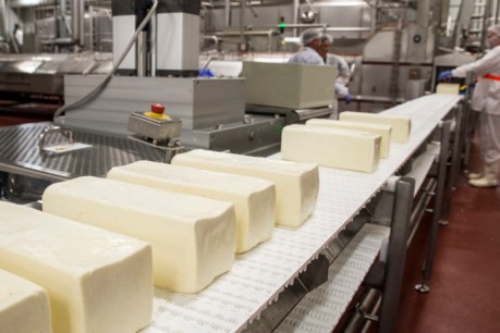 SA dairy deal sours with Thai importer