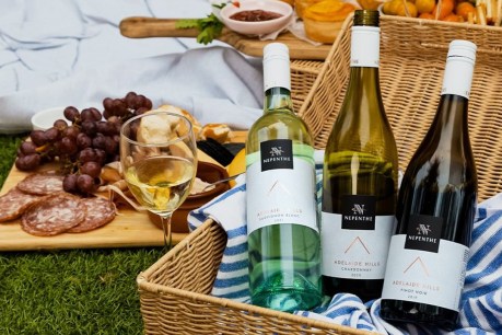 Adelaide Hills wine brand surge helps drive Australian Vintage profit