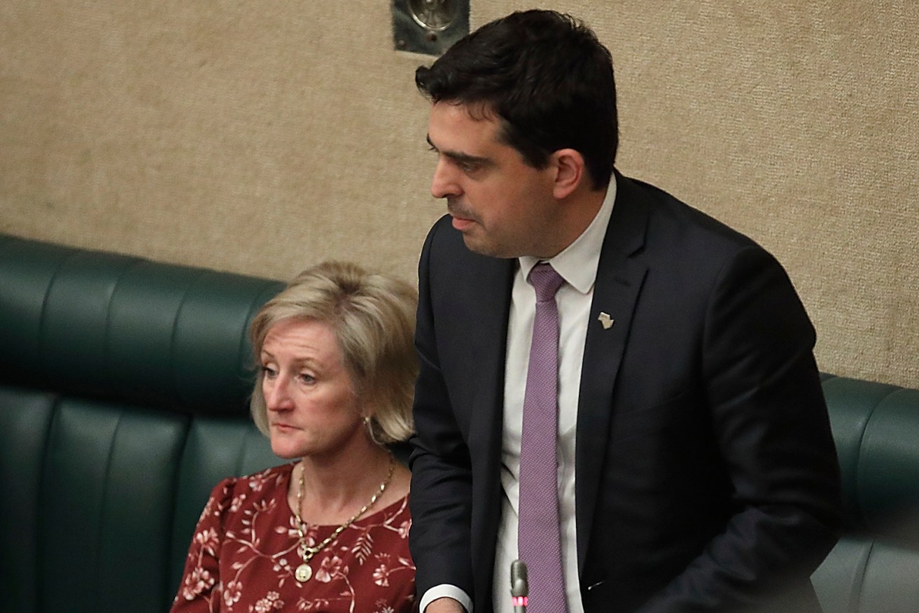 Richard Harvey and Paula Luethen in parliament before the March election. Photo: Tony Lewis / InDaily