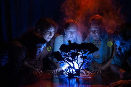 Fringe review: This Tree is a Story