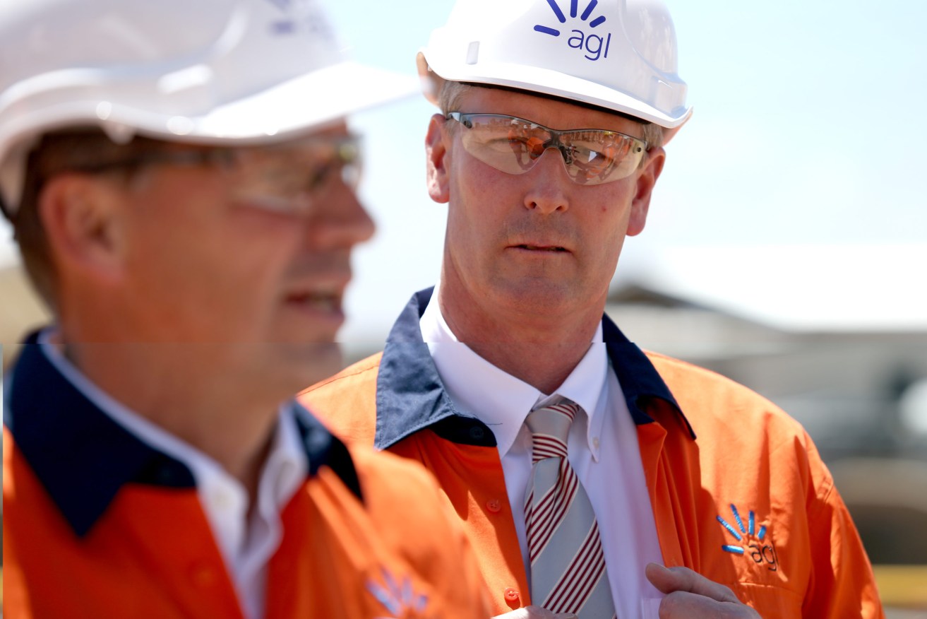 Former Mining and Energy minister Dan van Holst Pellekaan, pictured with federal colleague Angus Taylor, has lost his seat. Photo: Kelly Barnes / AAP