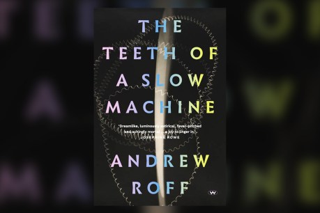 Book review: The Teeth of a Slow Machine