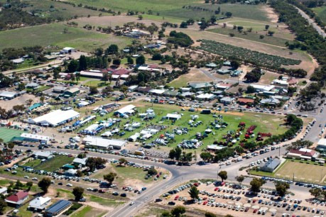 Mallee housing initiative hopes to bring fresh business to small town