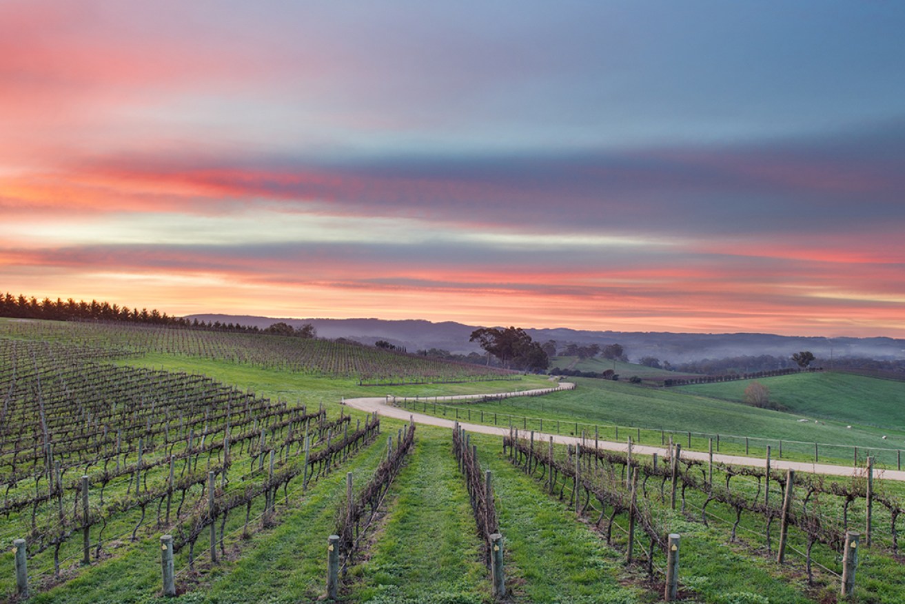 A luxury tourism offering near Hahndorf is being proposed next door to The Lane Vineyard.