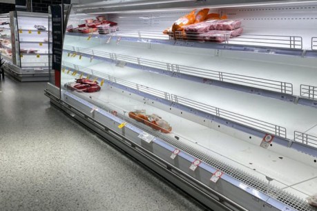 Farmers warn climate crisis will empty shelves and raise food prices