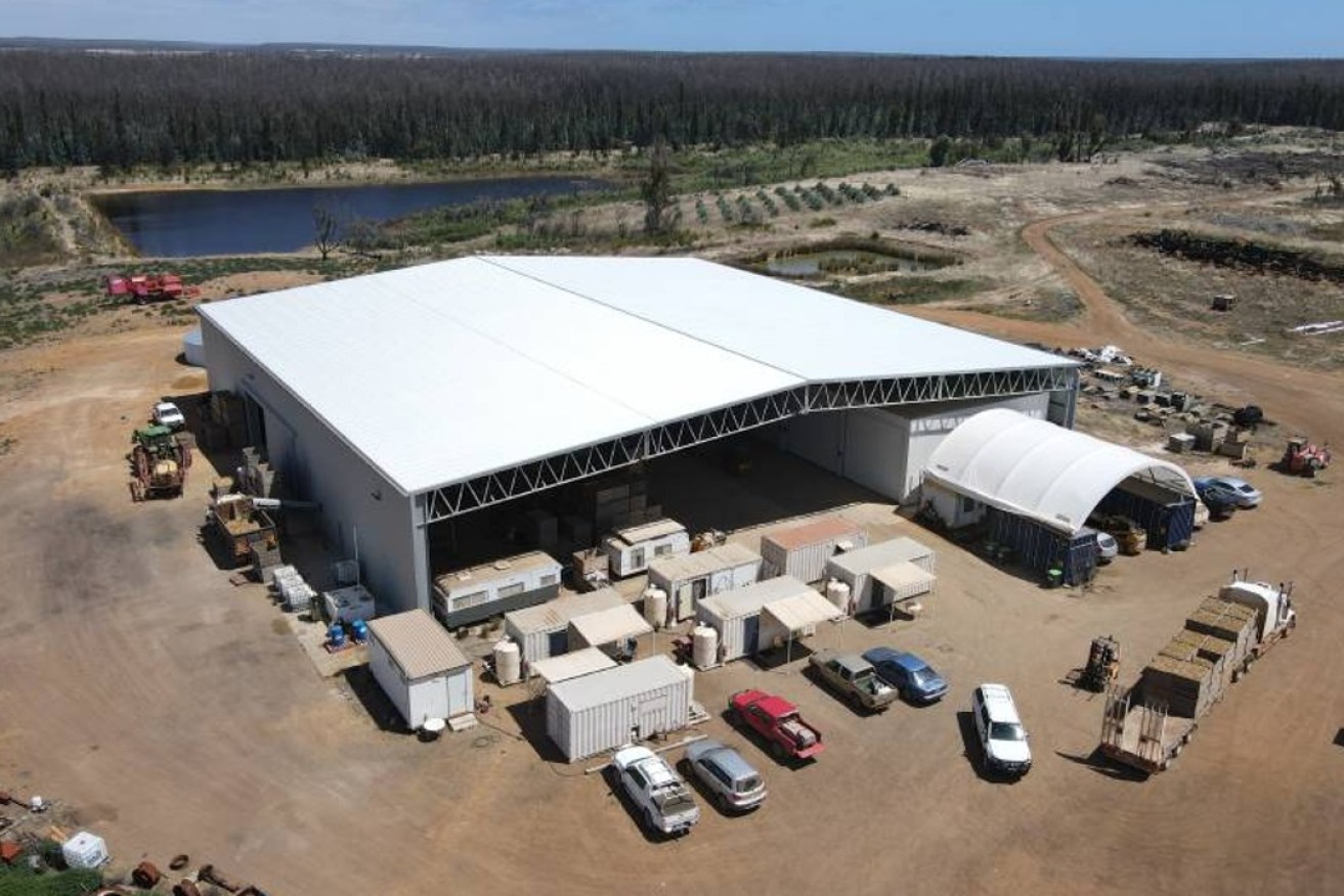 The Locklands Seed Potatoes shed will house a new sorting machine that will help alleviate the pressure caused by labour shortages. Photo: supplied