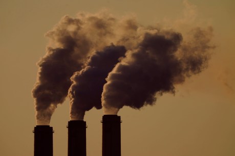World must act quickly to cut emissions