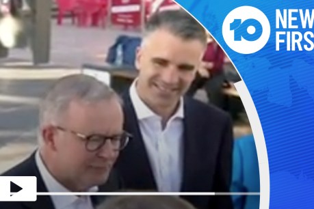 VIDEO: Albanese flies in to woo Boothby voters