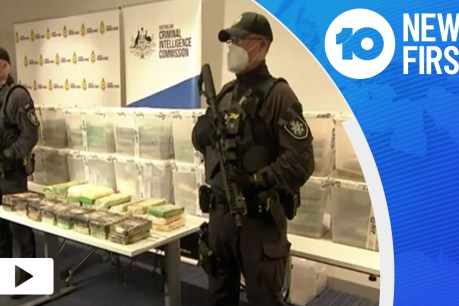 VIDEO: Police seize 400kg of cocaine in record SA drug bust