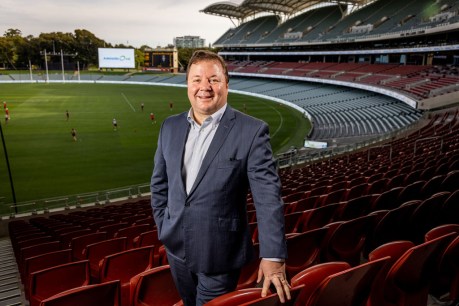 Andrew Daniels to chair Adelaide Venue Management board