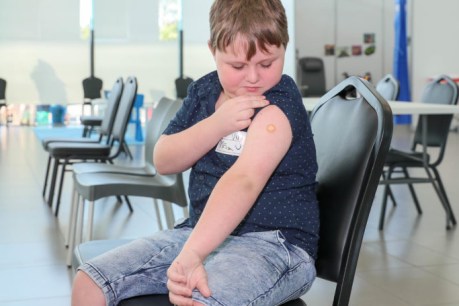 School vaccine hubs to begin