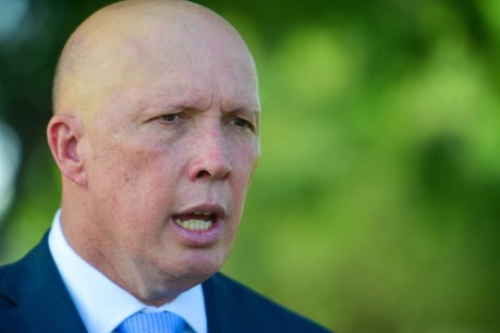 Dutton set to become Liberal leader unopposed