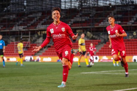 Reds into A-League semi-final after home victory