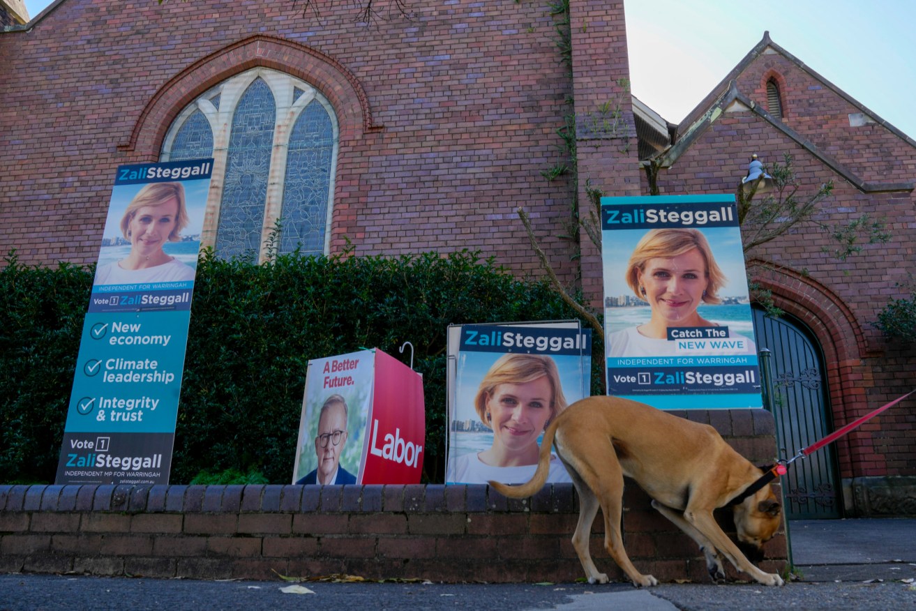 Election posters for Anthony Albanese and independent Zali Steggall, just re-elected to former Liberal Prime Minister Tony Abbott's Sydney seat. Photo: AP/Mark Baker