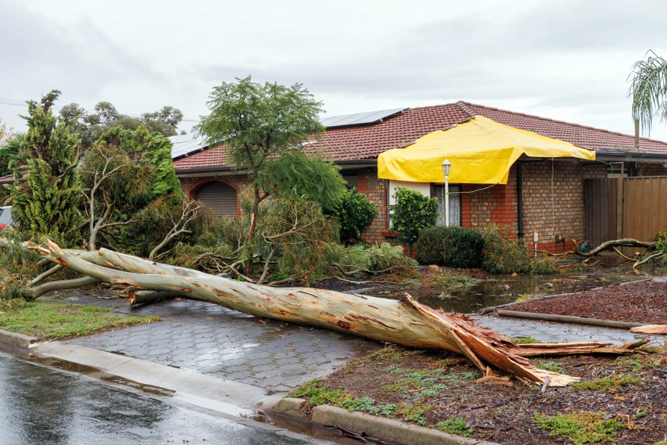 Damage to a house on Earl Avenue in Salisbury. Photo: Tony Lewis/InDaily