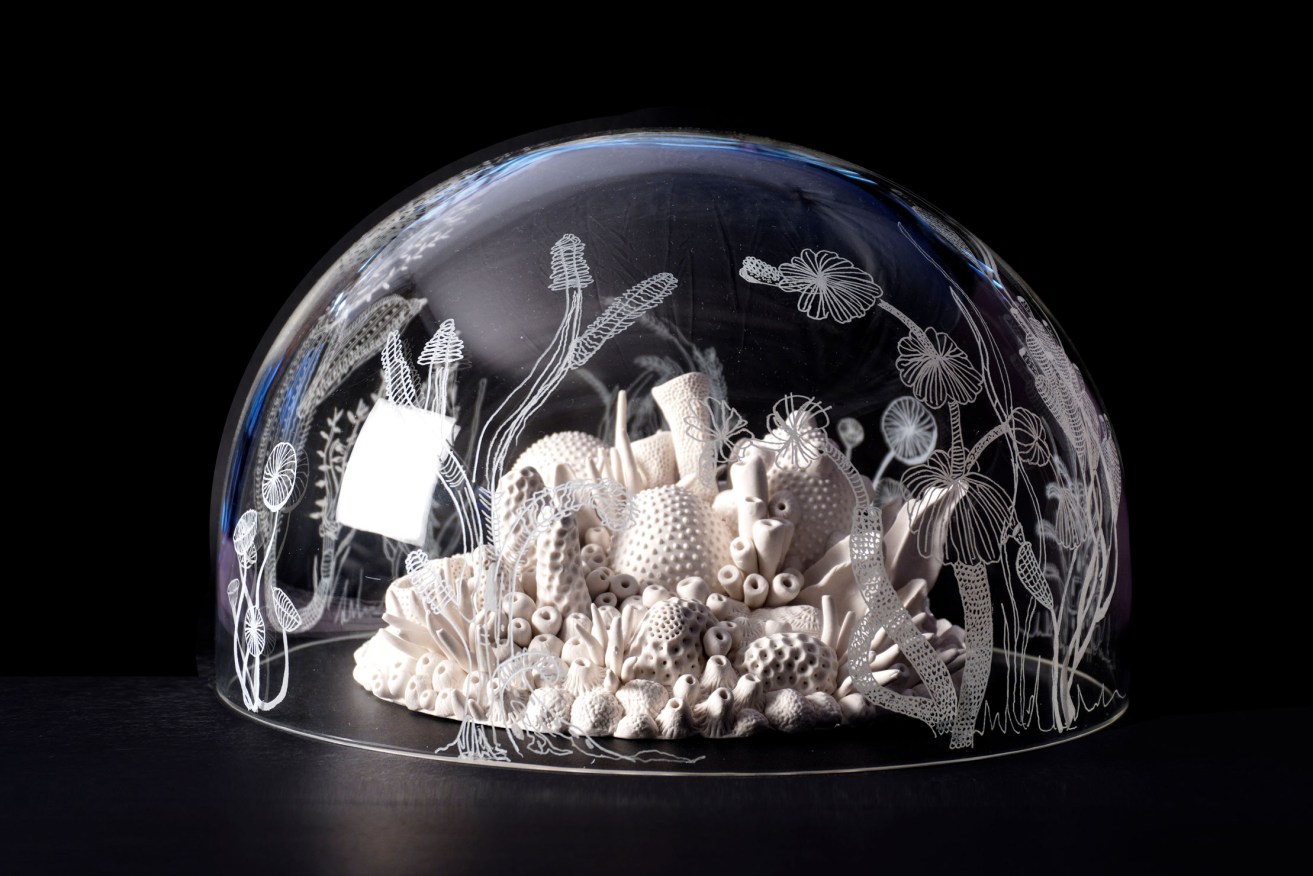 'Surface Beneath', a collaborative etched glass and porcelain work by SA artists Alexandra Hirst and Mirjana Dobson, is a finalist in the emerging category of the 2022 Waterhouse Natural Science Art Prize.