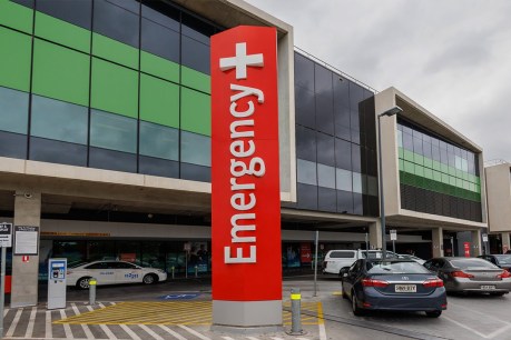 Ambos ask: Can overloaded SA hospitals cope with a major accident?