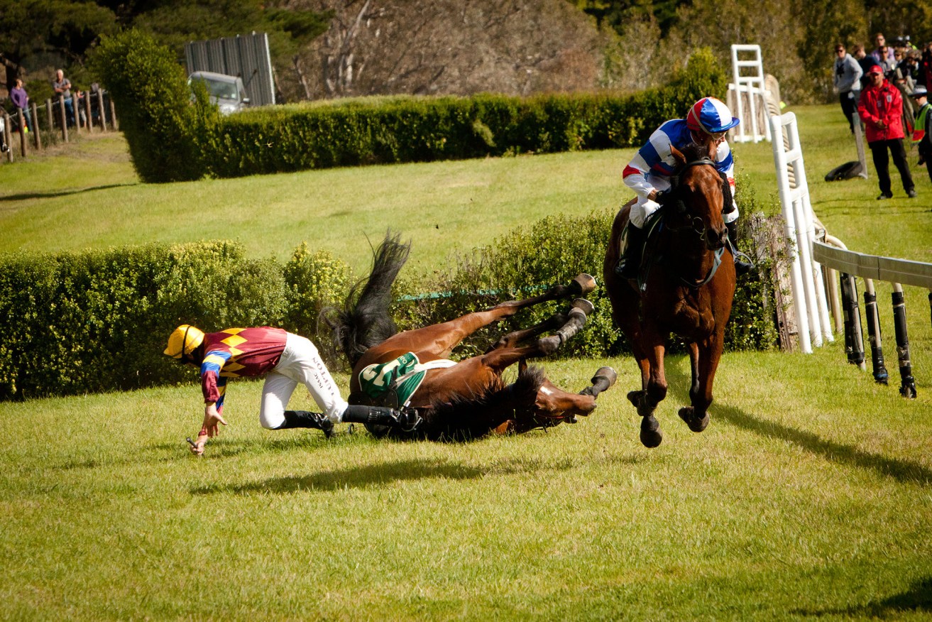 A horse and jockey fall during the Great Eastern Steeplechase at Oakbank racecourse in 2012. Photo: AAP 