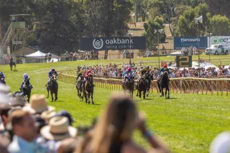 New legal challenge looms as racing rebels reject ‘flawed’ Oakbank ballot