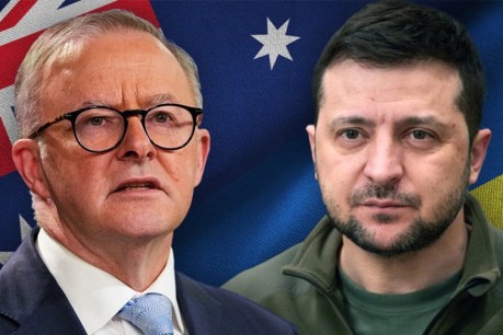 Albanese cops criticism for delaying answer to Zelensky invitation