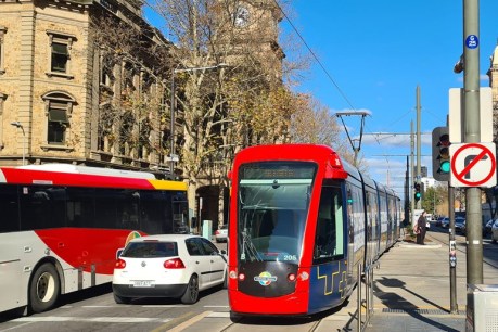 Striking tram drivers shut down services