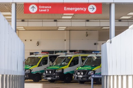 New move to keep patients out of stretched Adelaide hospital EDs